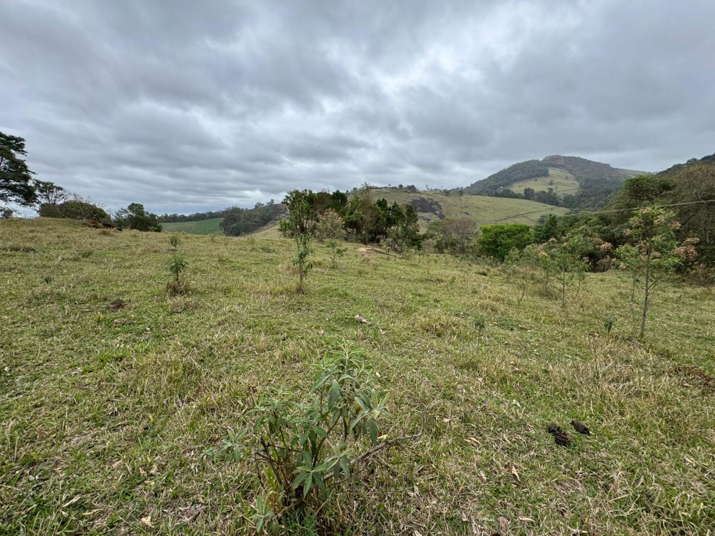 Terreno Rural Terreno para Venda, bairro Rural, área total 39.000,00 m²